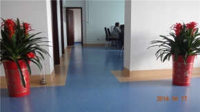 九瑞办公室PVC地板工程封面